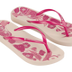 ANATOMY PINK / 6
