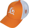 Cap Solywave