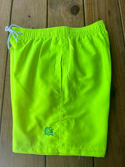 Board Swim Short